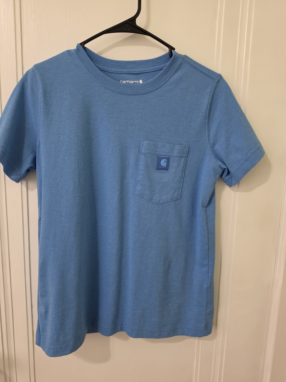Carhartt Short Sleeve Pocket Tee in Light Blue